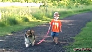 Bebés paseando Perros. ternura tota!!1