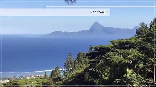 Terrain de 6500 m2 – Punaauia vue Moorea