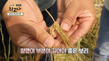 좋은 보리를 알아내는 방법!