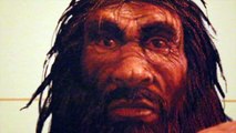 Scientists Grow Mini-Brains With Neanderthal DNA