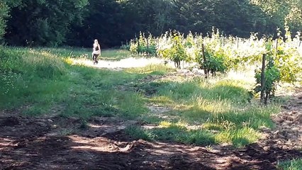 delta exercice d'essai et d'analyse