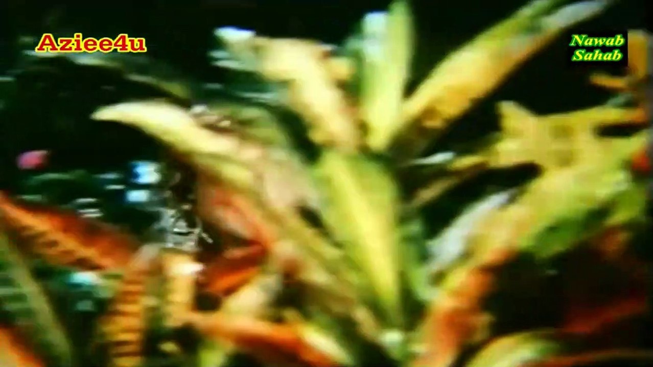 Hum Main Hai Kya Ke Hamain Koi Haseena Chahe { The Greatest Muhammad Rafi } *Nawab Sahab*