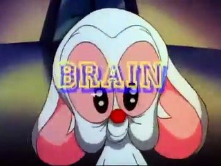 Pinky y Cerebro -  La Visita / La Tercera raton