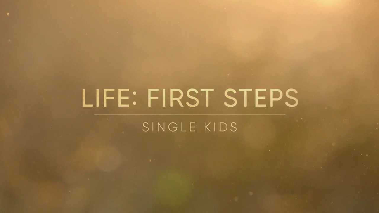 Life- First Steps 1of3 - Single Kids - Special Wildlife HD Documentary