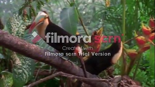 Baby Dolittle World Animals (Extended Version) - video dailymotion