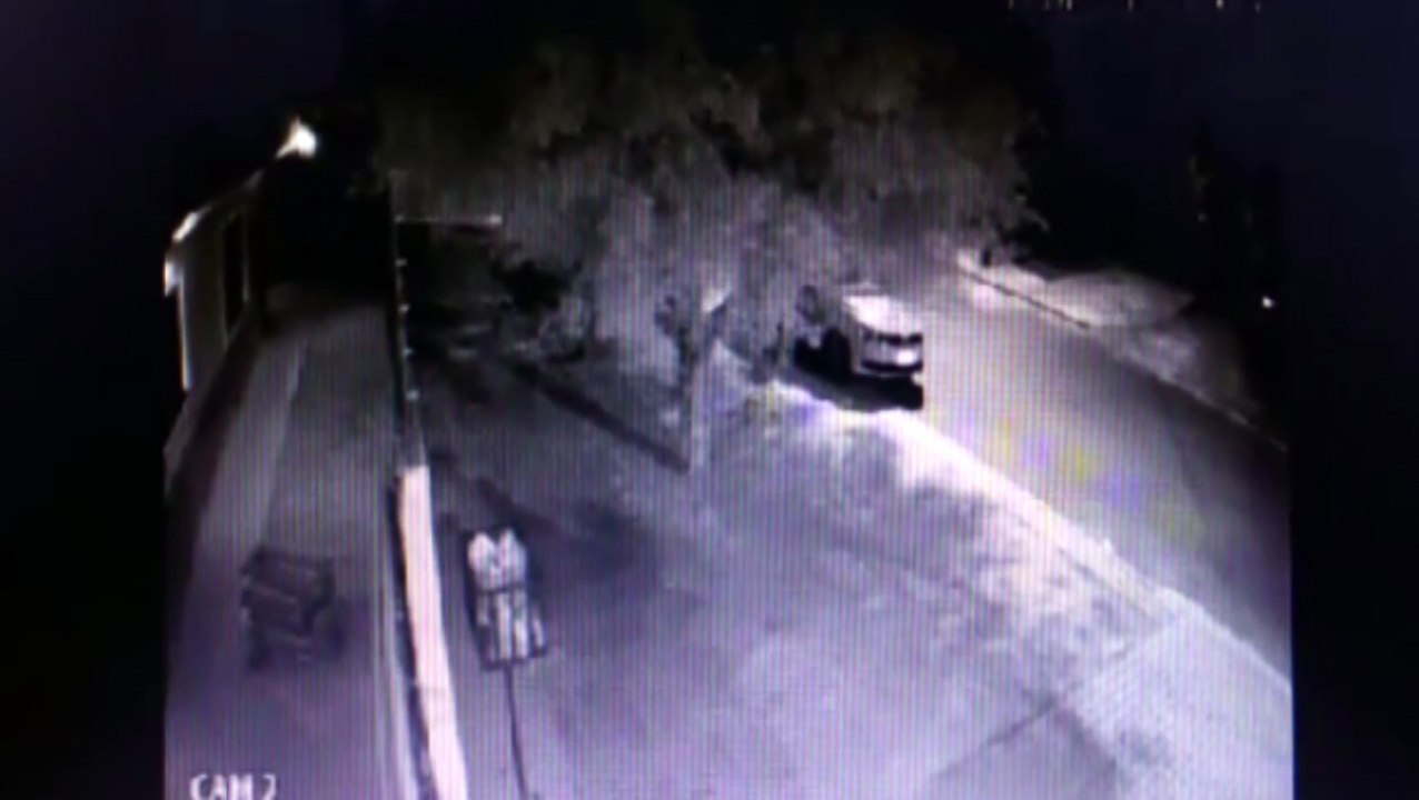 Cachorrinha paraplégica é abandonada no Bairro Pioneiros Catarinenses