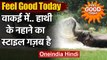 Feel Good Today: तेज गर्मी में जब Elephants के नहाने का स्टाइल हुआ Viral | वनइंडिया हिंदी