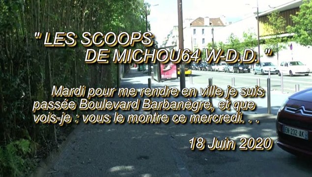 LES SCOOPS DE MICHOU64 W-D.D. - 17 JUIN 2020 - PAU - BOULEVARD BARBANEGRE RÊNOVATION D'UN TROTTOIR ET DES BRANCHES TAILLÉES