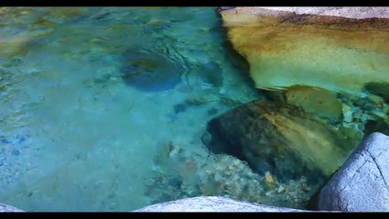 SONIDO DEl  AGUA CORRIENDO EN UN HERMOSO ESTANQUE,TERAPIA DE SONIDO ESPECIAL PARA ESCUCHAR Y DORMIR PROFUNDAMENTE