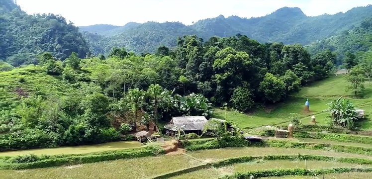 Ba Be National Park & Ba Be Lake - A Hidden Gem In North Of Vietnam