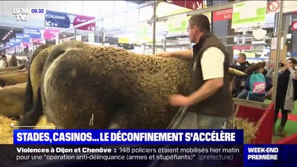 Download Video: Stades, casinos, hippodromes... Le déconfinement s'accélère