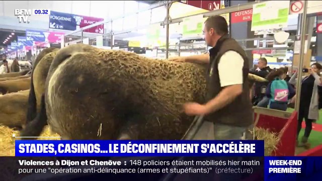 Stades, casinos, hippodromes... Le déconfinement s'accélère