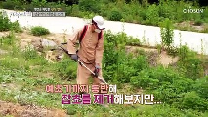 끝없는 오전 일과..ㄷㄷ 셀프 방역까지?!