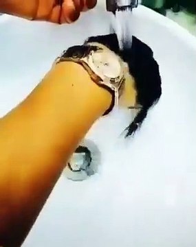 De très longs poils poussent sur ses mains