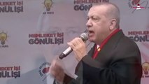 Erdoğan YPG’yi Destekleyen Kemal’e Çok Sinirlendi