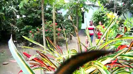 Bangla New Comedy & Entertainment   Natok  # Rajb ali abong #Mtvc  Official natok 2020 # co channel 3r media