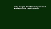 Living Energies: Viktor Scahuberger's Brilliant Work with Natural Energy