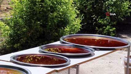 Malatya’da Dut Pekmezi Mesaisi Başladı