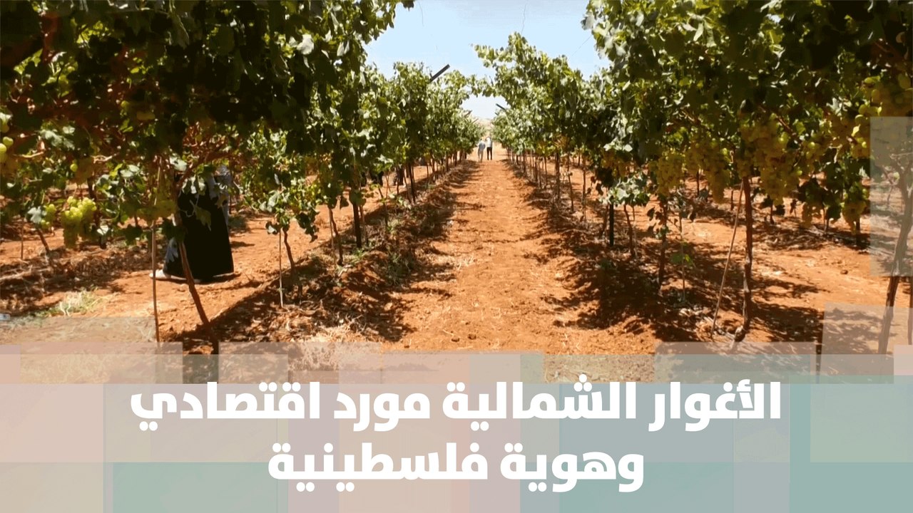 الأغوار الشمالية مورد اقتصادي وهوية فلسطينية في وجه مخطط الاحتلال الهادف للضم - قصة دنيا فلسطين