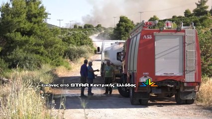 Μάχη με τις φλόγες στο Μαρτίνο Φθιώτιδας