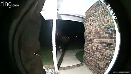 Intruder Slithers Past Doorbell Camera