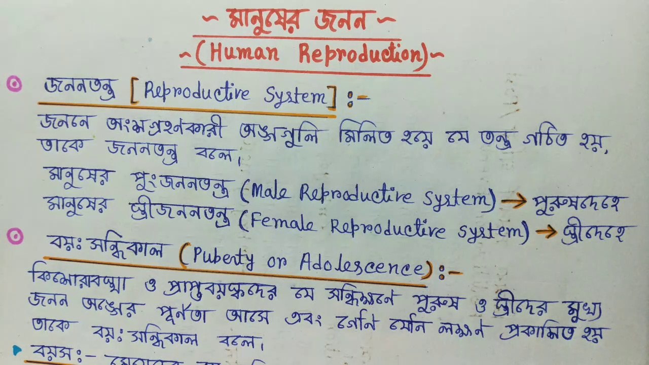Human Reproduction মানুষের জনন
