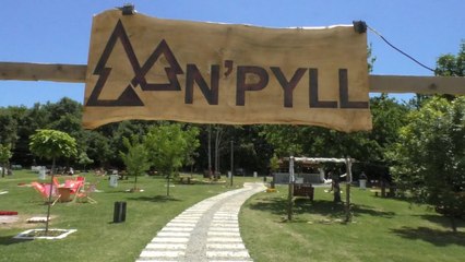 Pylli, vendi i qetësisë dhe relaksit-Lajme