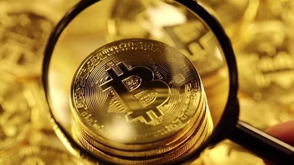 Who Owns The Most Bitcoin-