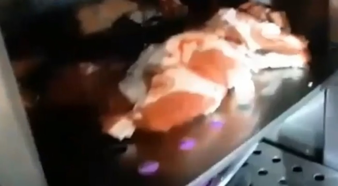Mantova - Scoperta macelleria islamica clandest...