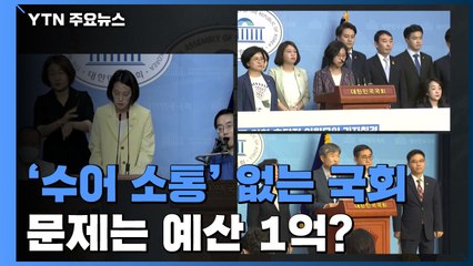수어 소통 없는 국회 소통관...문제는 예산 1억? / YTN