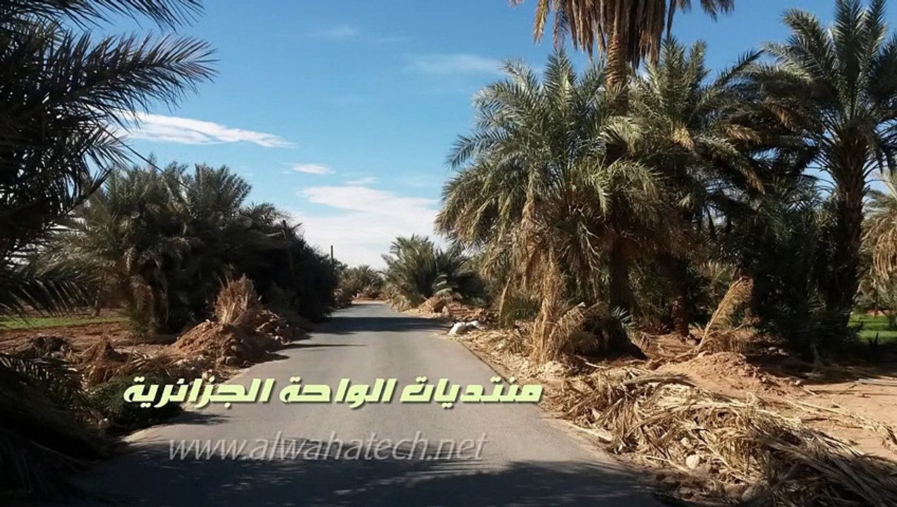 Adrar Bouda _ Algeria وادي المسعود" ببلدية بودة ولاية أدرار 2014-الجزائر"