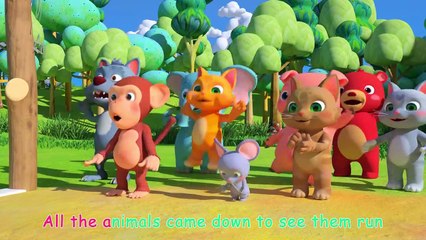 The Tortoise and the Hare   CoComelon Nursery Rhymes & Kids Songs