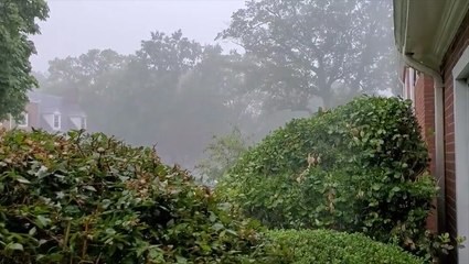 Midday summer thunderstorm provides moment of peace