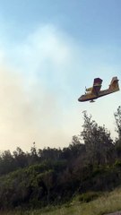 Des images spectaculaires des avions de la SOPFEU en bordure de l'A20