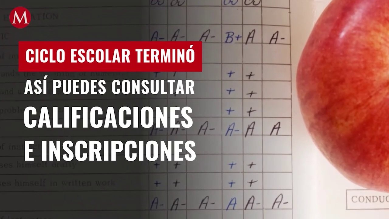 ¡El ciclo escolar terminó! Así puedes consultar calificaciones e inscripciones