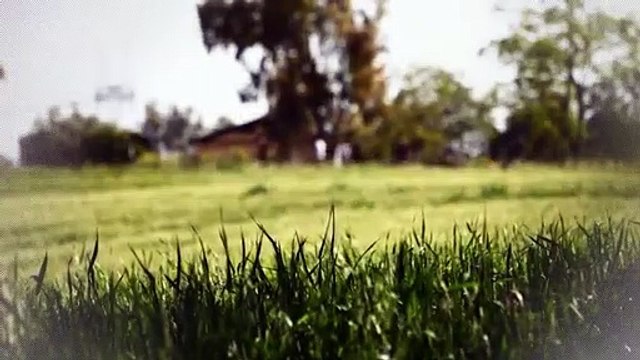  Studio en rez de jardin avec terrasse de 22 m2