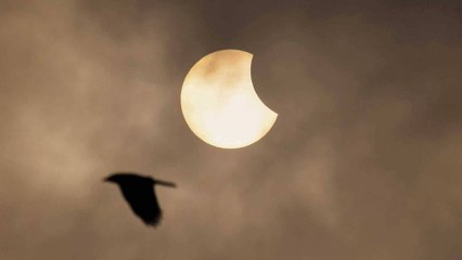 What are the ways to avoid the effects of solar eclipse?