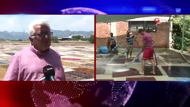 Halı tarlaları sezonu açtı, buğday arazilerinde renk cümbüşü yaşandı