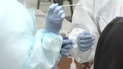 첫 발생 다섯 달...또다시 '확산 위기 상황' / YTN