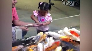Funniest Moments Baby Meet Animals - Life Funny Pets Video 2020