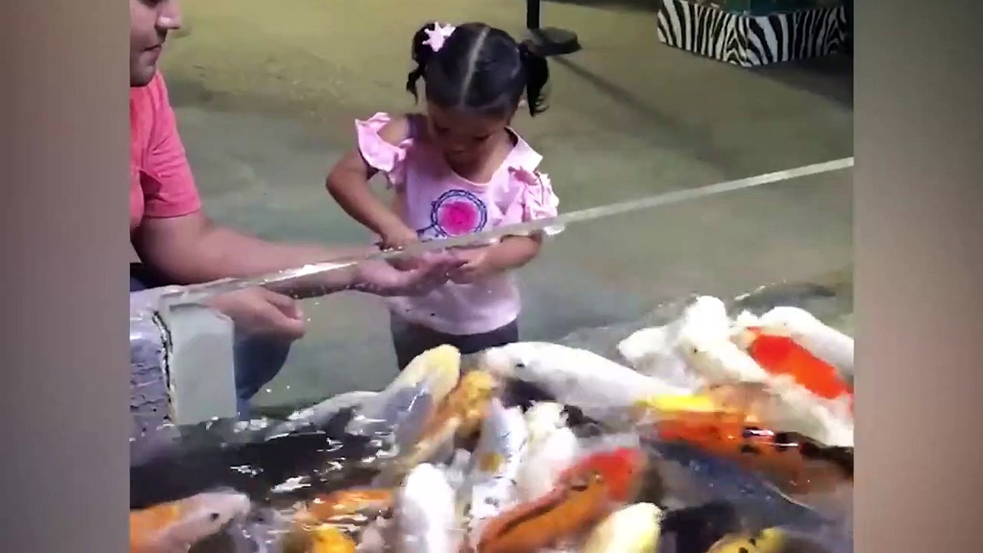 ⁣Funniest Moments Baby Meet Animals - Life Funny Pets Video 2020
