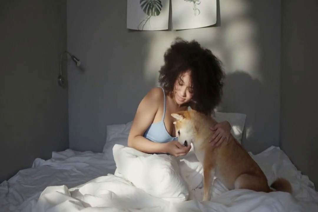 A day with a dog| A very cute girl with a dog |  Perfect love between human and dog|Human and dog relationship | Human and dog friendship