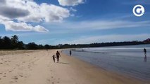 Praia de Camburi com vermes aquáticos na manhã desta quarta-feira (24)