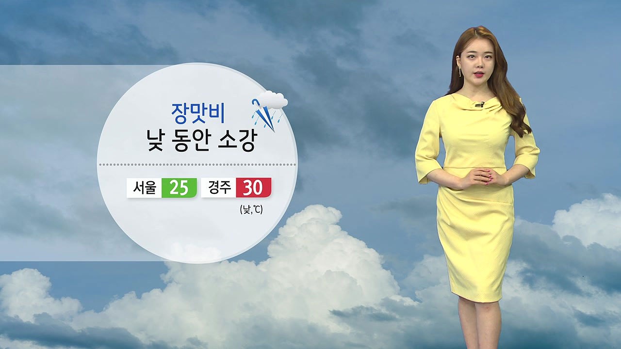 [날씨] 장맛비 낮 동안 소강...영남 내륙 30도 안팎 더위 / YTN