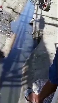 Il plonge dans le caniveau pour le déboucher !