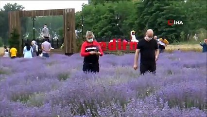 Açık hava stüdyosu 'mor turizm'