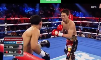 Teofimo Lopez vs Masayoshi Nakatani Full Fight