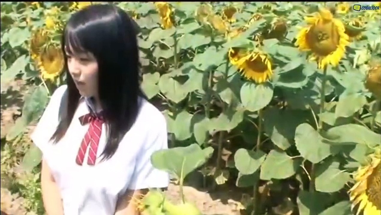 ai shino