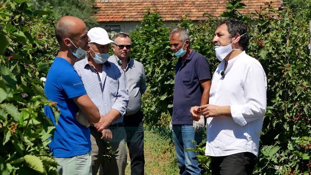 Hiqet tvsh per imputet bujqesore - News, Lajme - Vizion Plus