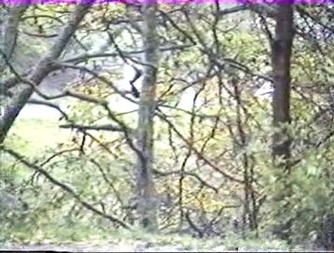 Rallye du MONTBRISONNAIS 1993. Vidéo n°2